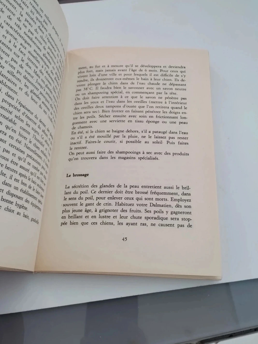 Le Dalmatien comment l'élever – photo 4